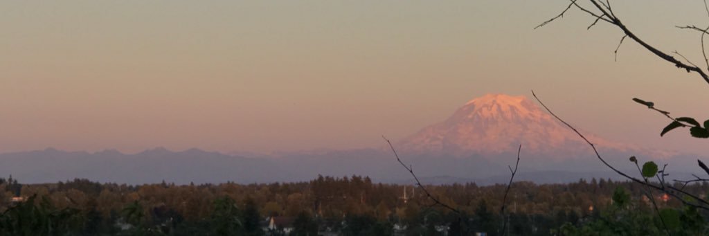 carafarnell's profile banner image