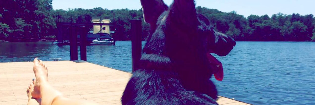 ashbags28's profile banner image