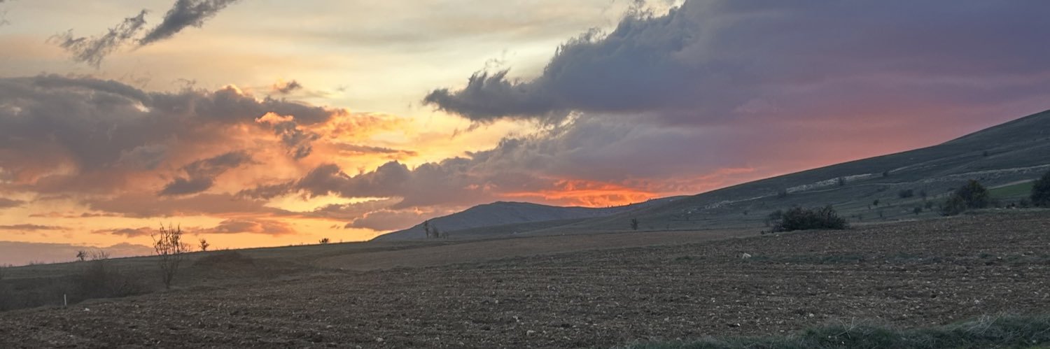 elif__bsr's profile banner image