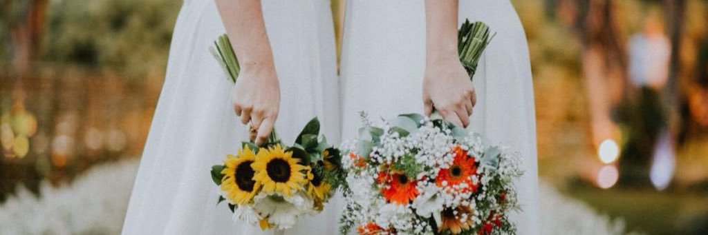 brunaparpaiola_'s profile banner image