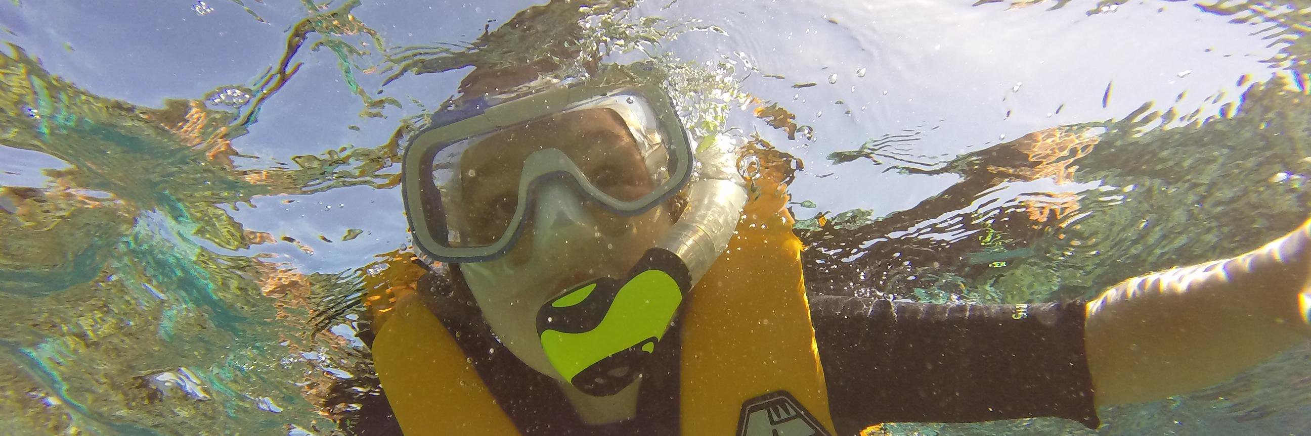 Simon McGuirk banner