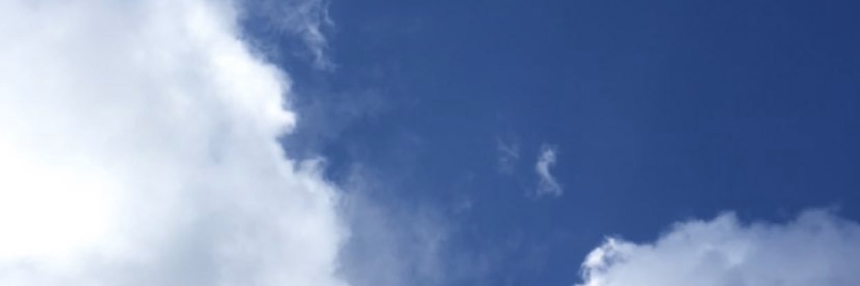 Valentina banner