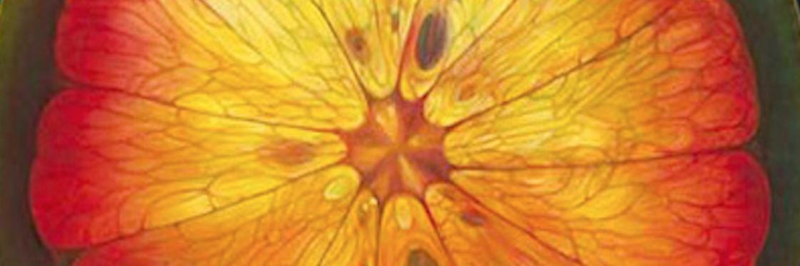 LemessyProject's profile banner image