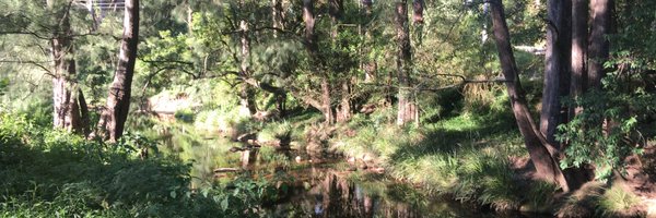 ntrego88 Profile Banner