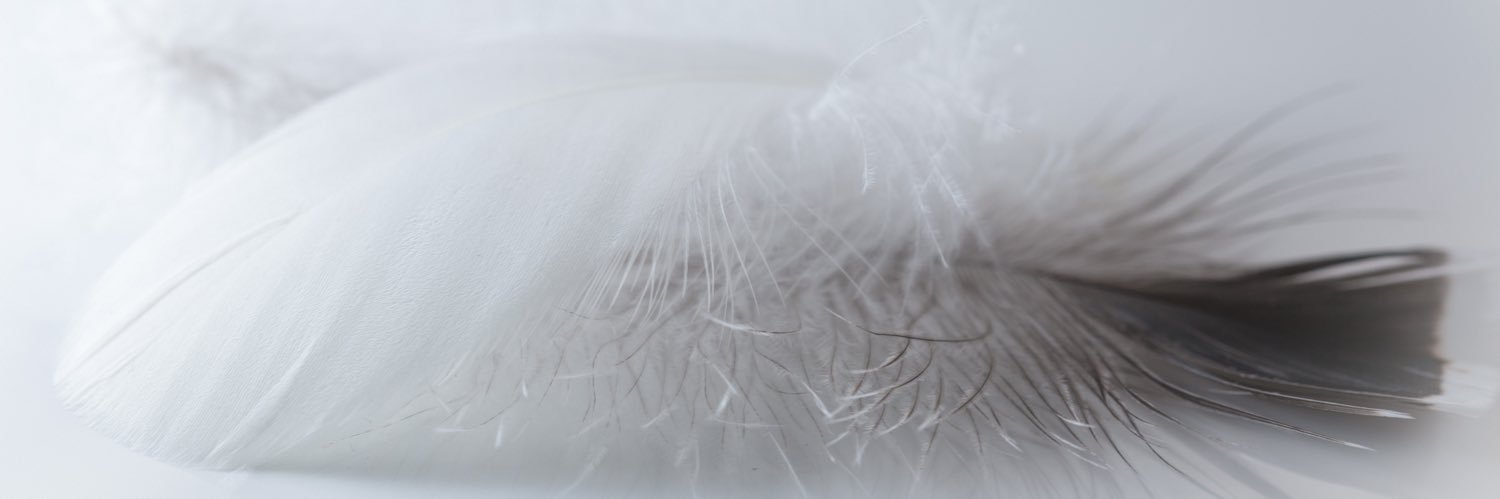 clairepulpher's profile banner image