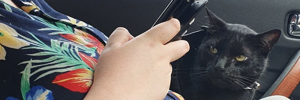 LerxSpikey's profile banner image