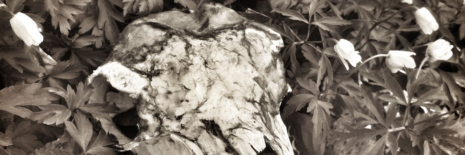 @mrgl@ohai.social (John Mastodon fan account) banner