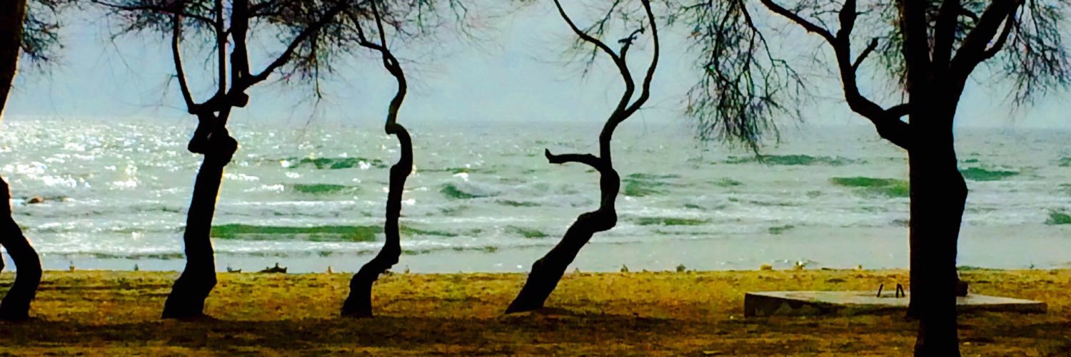 cccceemm's profile banner image