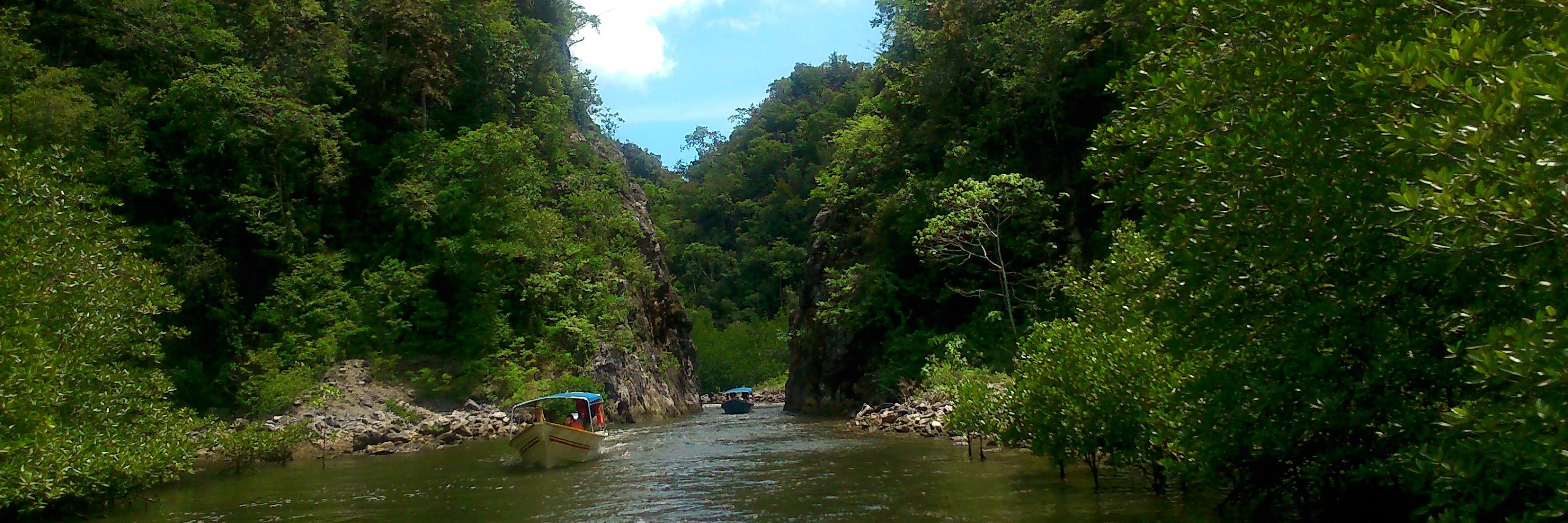 Mamta Sachan Kumar banner