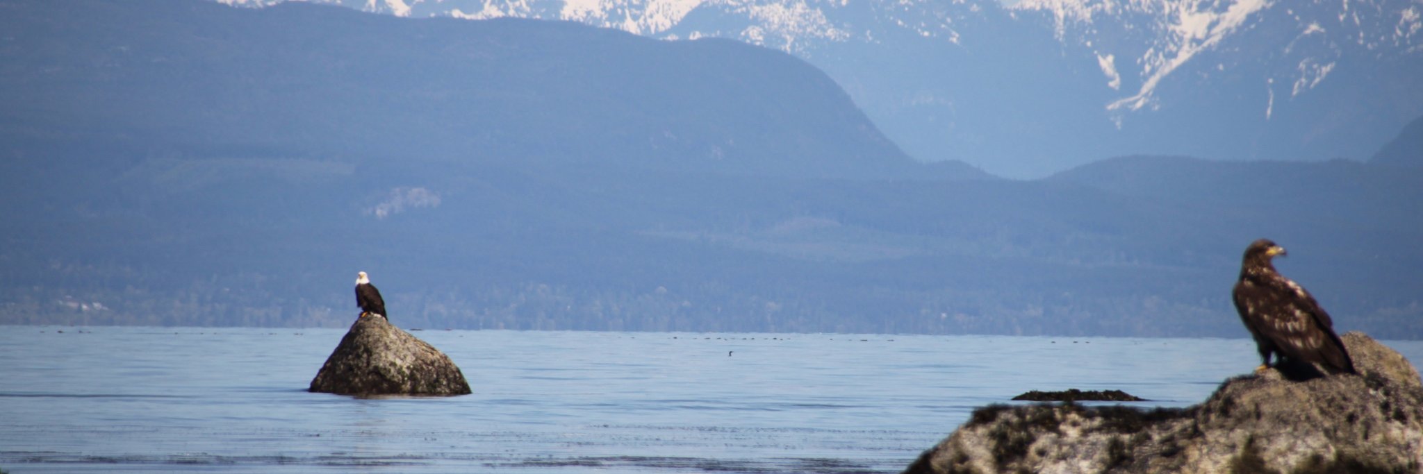 JHansenVic's profile banner image