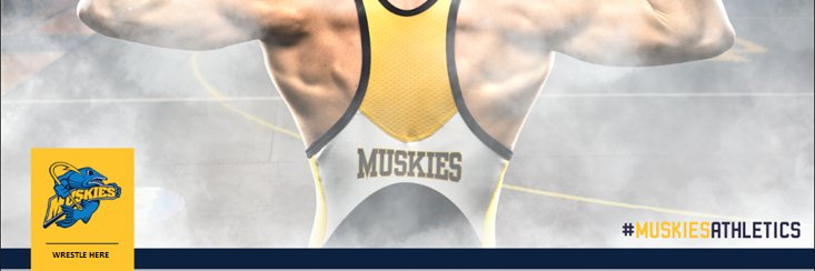 Lakeland Men's Wrestling banner
