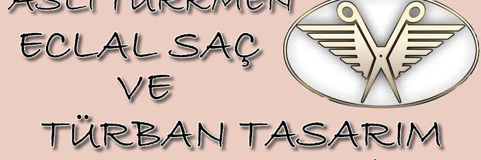 eclaltasarim's profile banner image
