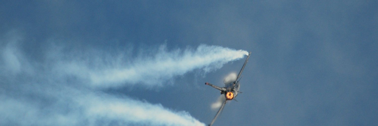 Whaler on the moon banner