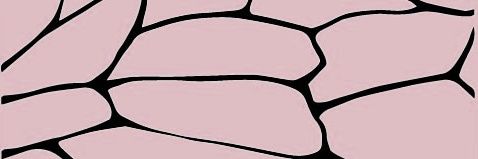yoyitababy's profile banner image