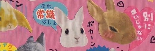 AMPHETASKATE's profile banner image