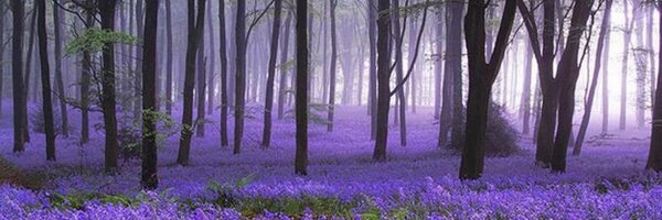 BoccaJim Profile Banner