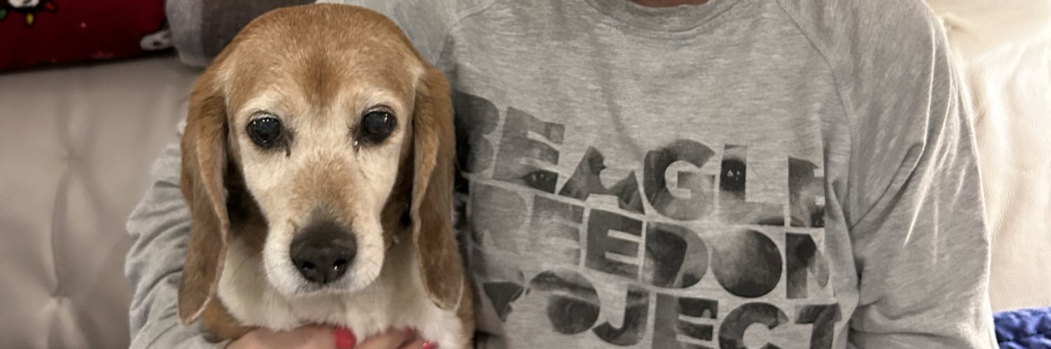 Mason BFP 🐞and 😇 Millie 🌈 banner