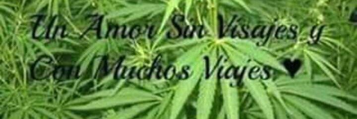velezparce's profile banner image