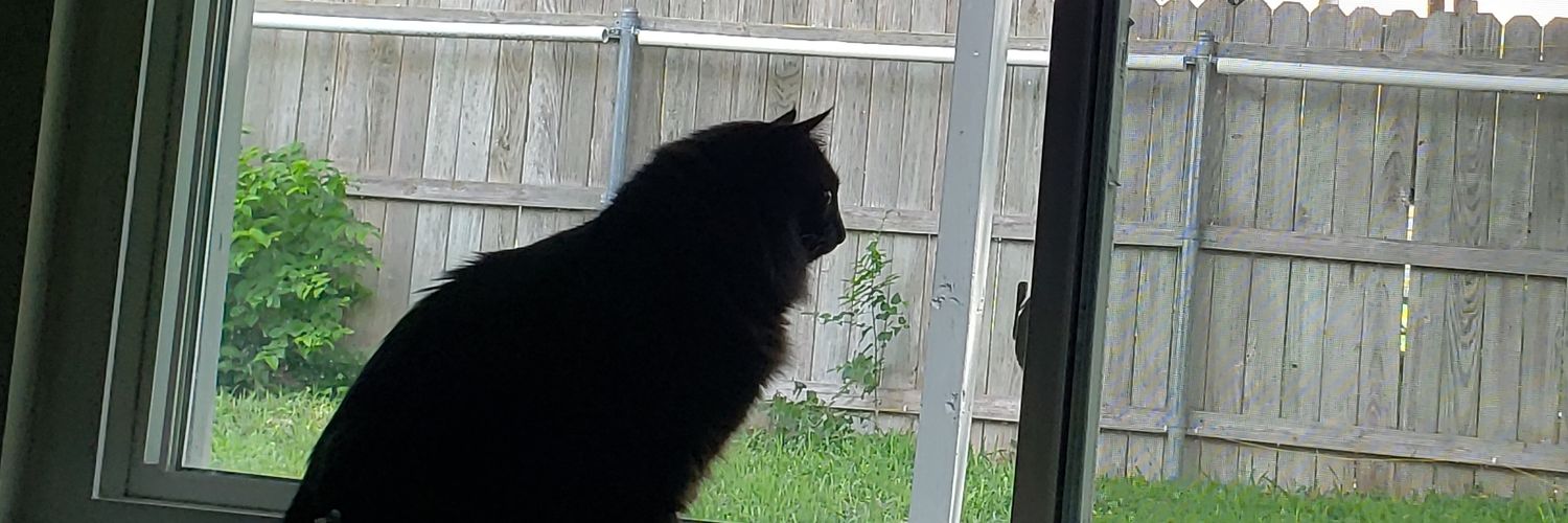 yourlocalmum's profile banner image