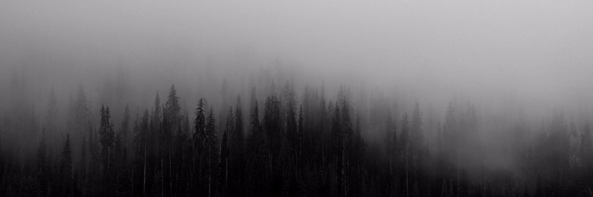 CriminallyListed banner