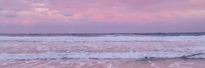 YanelBornatici's profile banner image