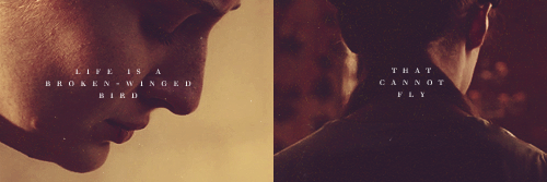 SansaUnbroken's profile banner image