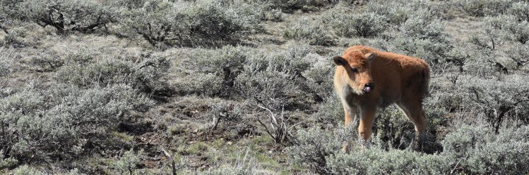 Rea_Olson21's profile banner image
