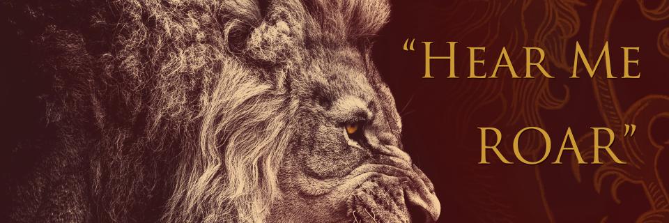 David89Sperry's profile banner image