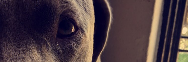 AndresJaimesMo's profile banner image