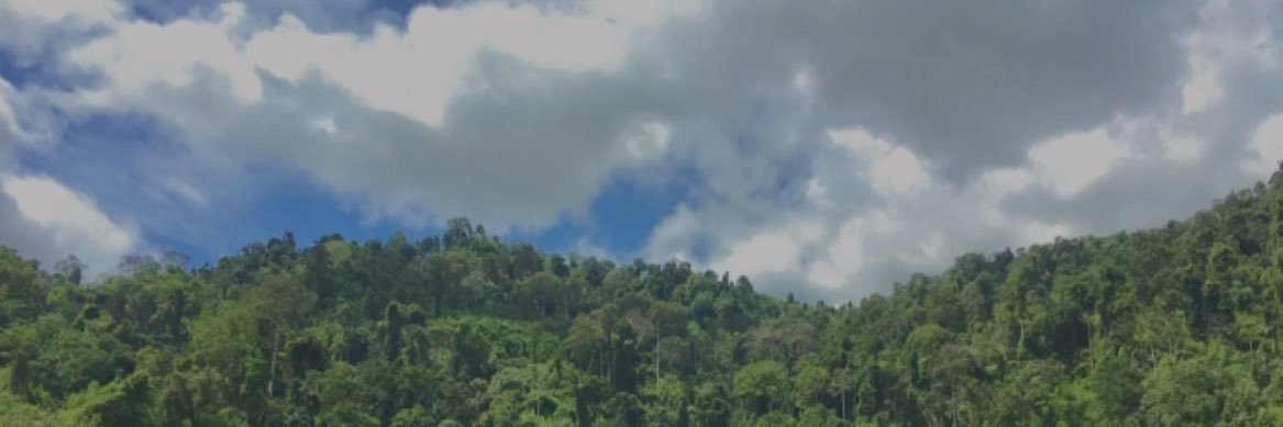 wncgmk's profile banner image