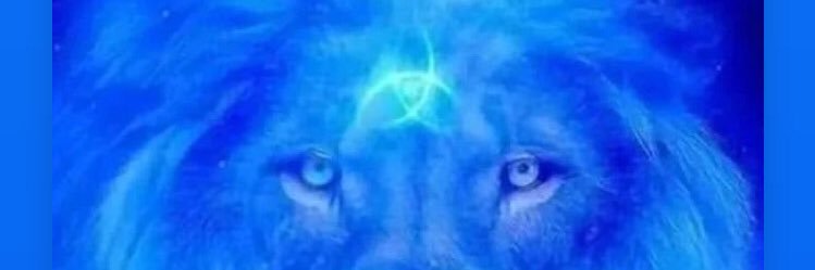 MartinEsteves1's profile banner image