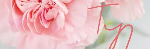 TiffanyNNathan's profile banner image