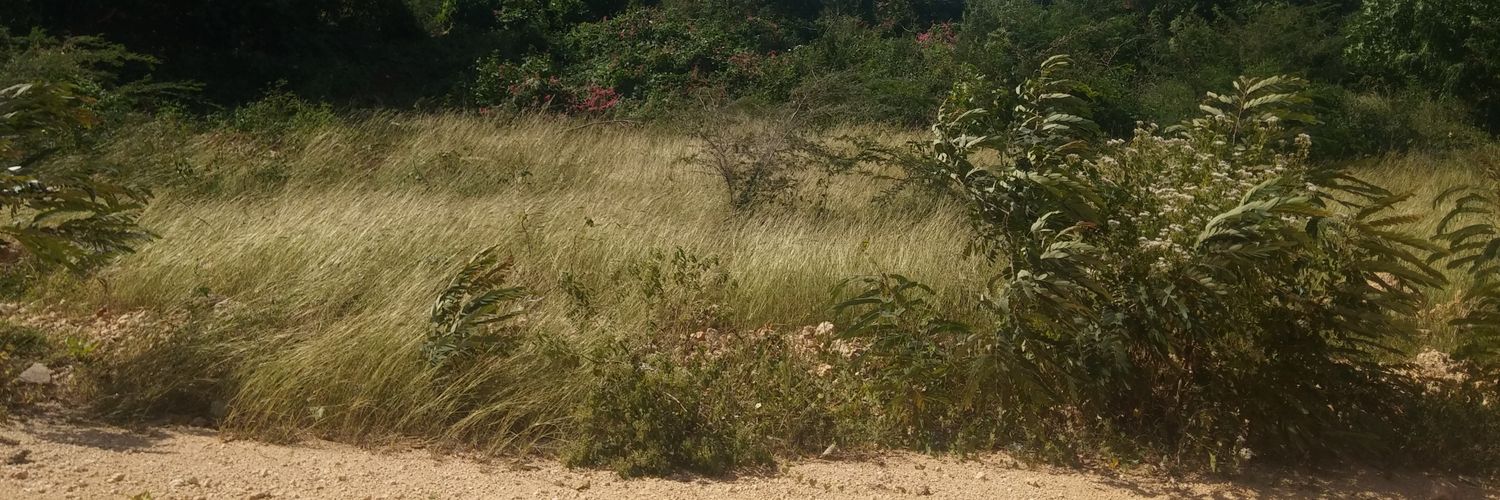 arqmedrano8's profile banner image