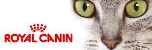 SaCanin's profile banner image