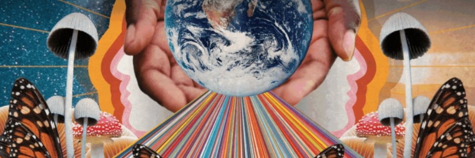 Alison E. Berman 🌎 banner