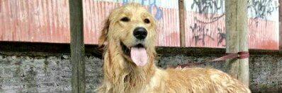 20_solansh's profile banner image