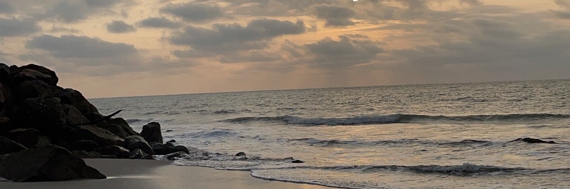 roxDioG's profile banner image