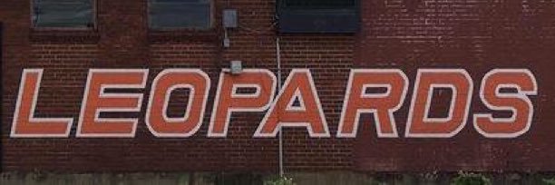 DialLeopards's profile banner image