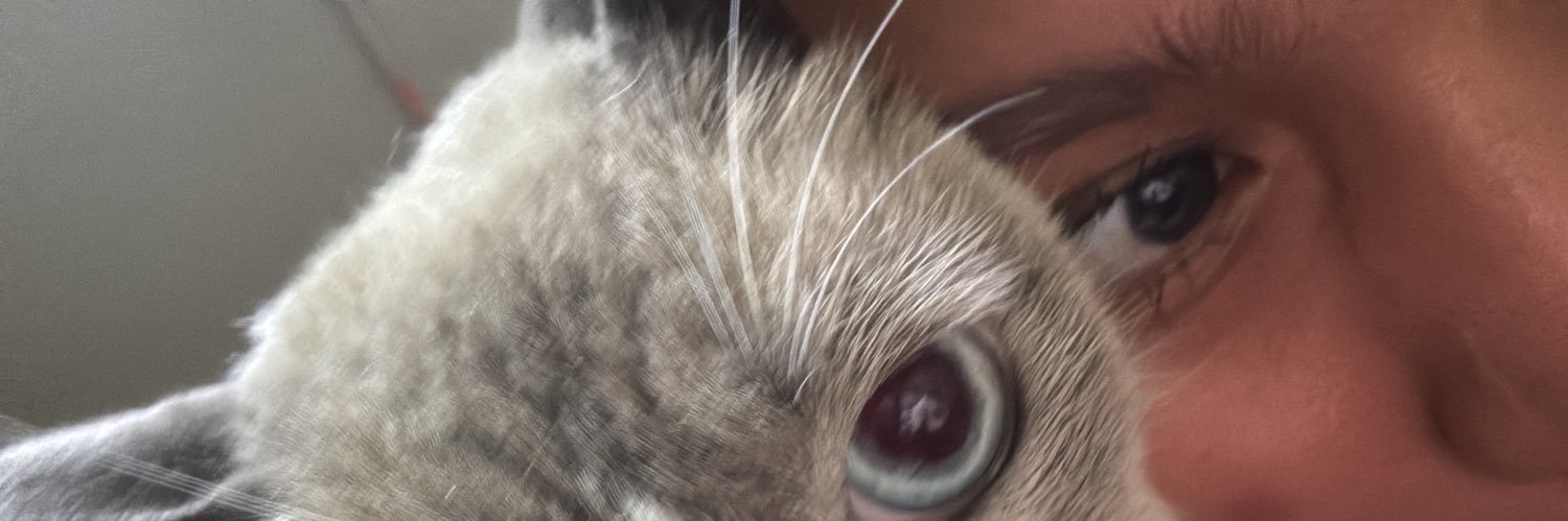 luisachh's profile banner image