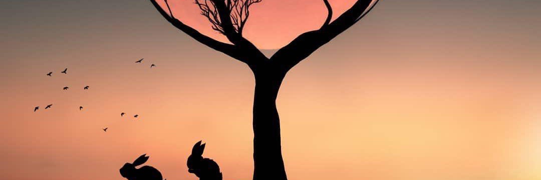 Alcatic's profile banner image