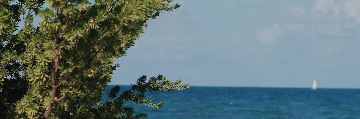ashmangin's profile banner image