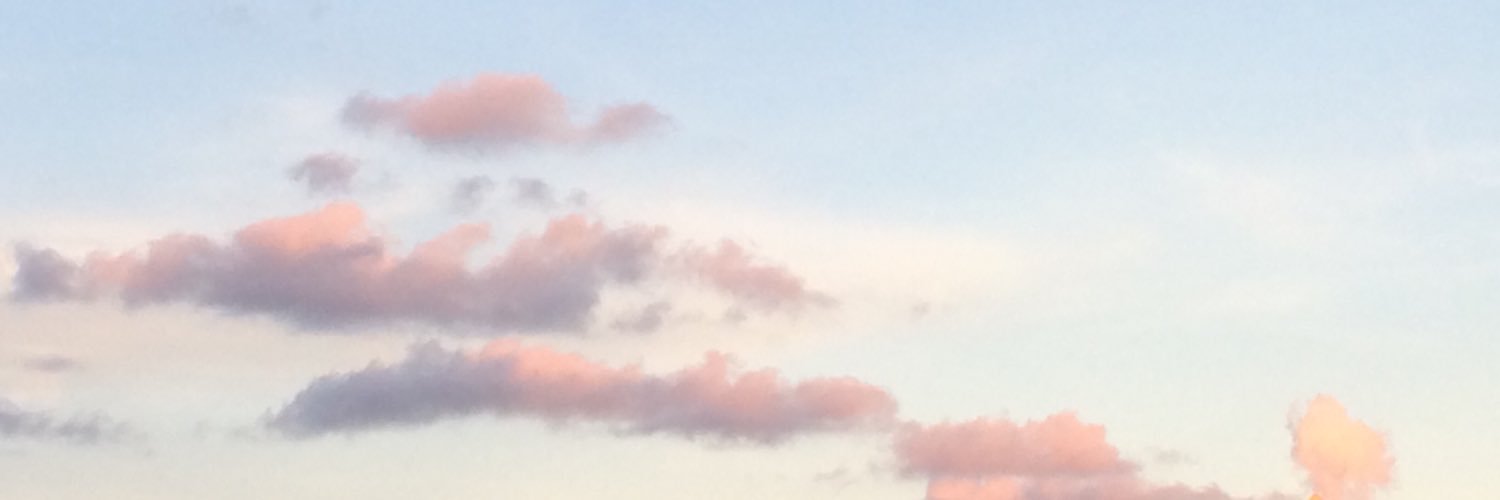 steflalexander's profile banner image