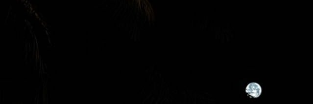 Mhsaldoseri's profile banner image