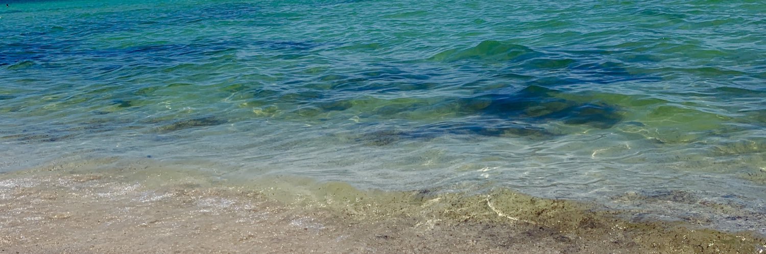 lindsromes's profile banner image