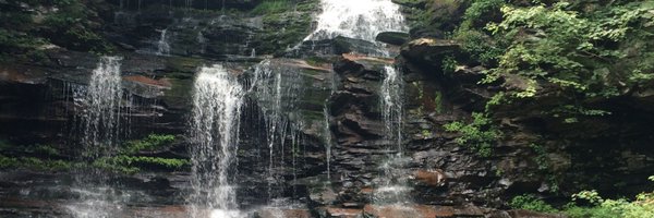 bexprestonn Profile Banner