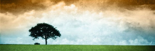 AravindNazim's profile banner image