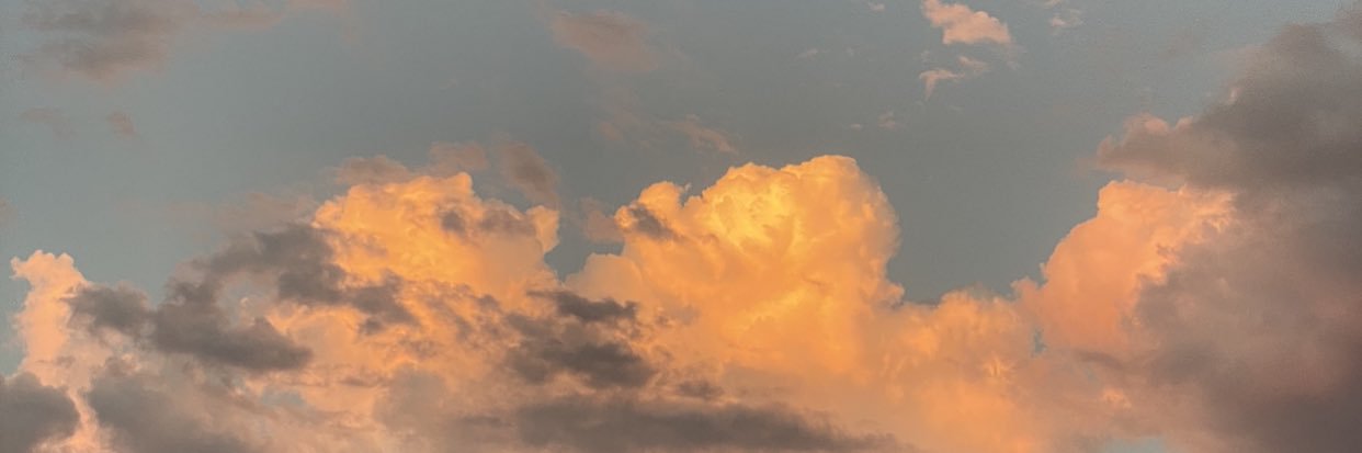grace_hager2's profile banner image