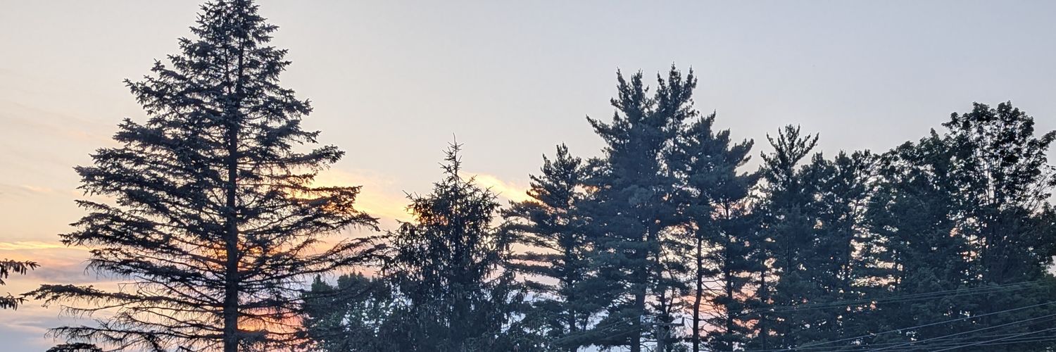CWGebeau3's profile banner image