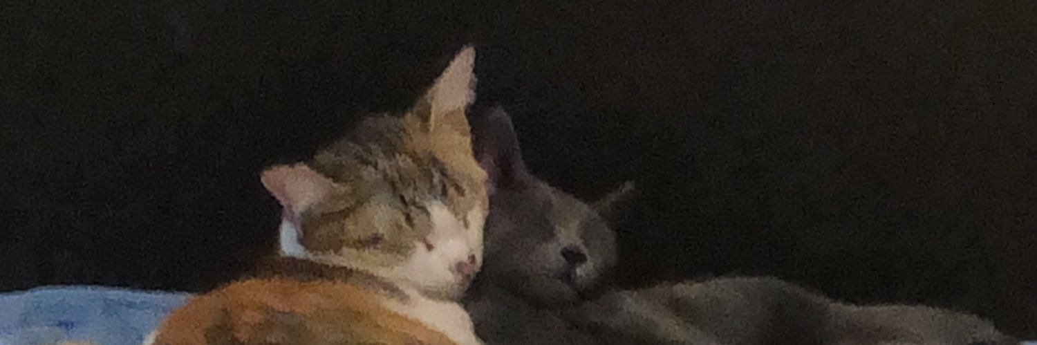 ogabrieloss's profile banner image