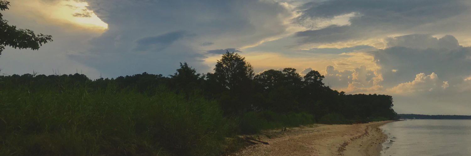 CamoCondoms's profile banner image